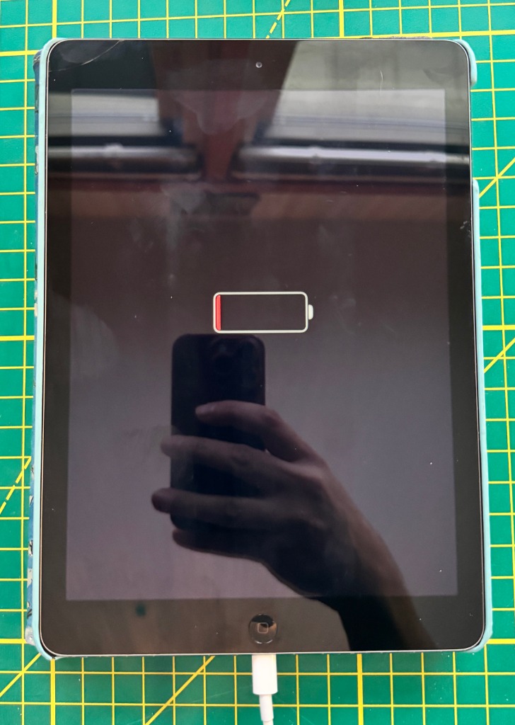 iPad (Lightning Port) - Working, Van Gogh Folio Case